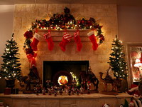 �������