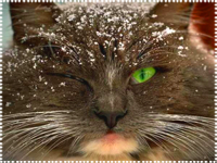 �������