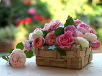 �������