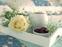 �������