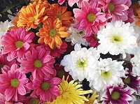 �������