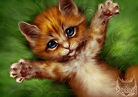 �������