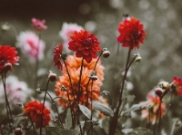 �������