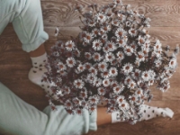 �������