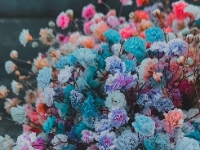 �������