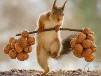 �������