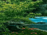 �������