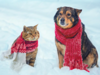 �������