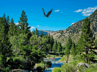 �������