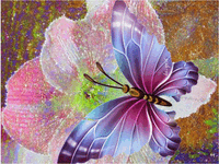 �������