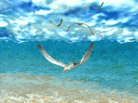 �������