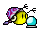 6r.gif