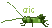 hel.gif