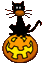 mq.gif