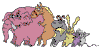 zz.gif